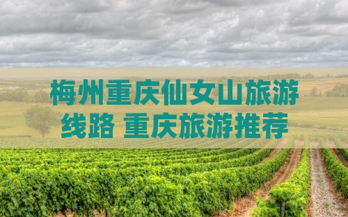梅州到重庆仙女山旅行社