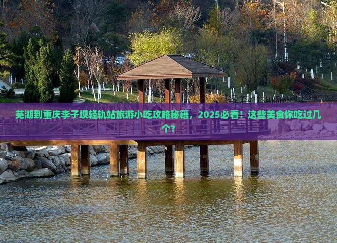 芜湖到重庆李子坝轻轨站旅游小吃
