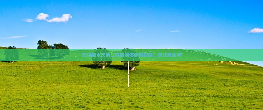 沈阳到重庆两江夜游团体旅游