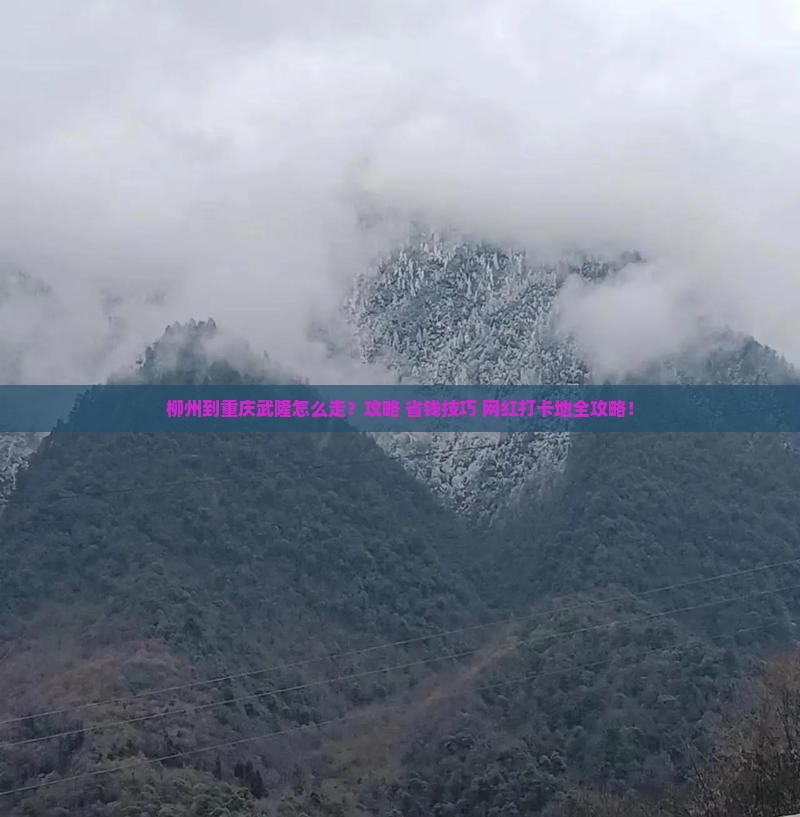 柳州到重庆武隆旅行社