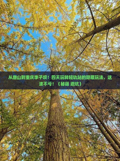 唐山去重庆李子坝轻轨站四日游