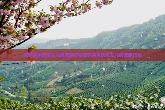 咸宁到重庆蚩尤九黎城旅行社