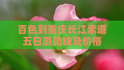百色到重庆长江索道五日游