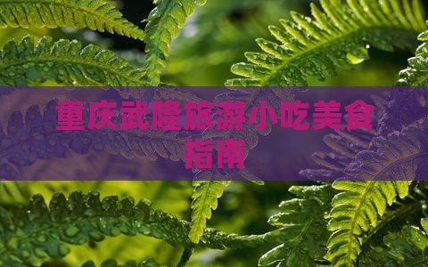 邵阳去重庆武隆旅游小吃