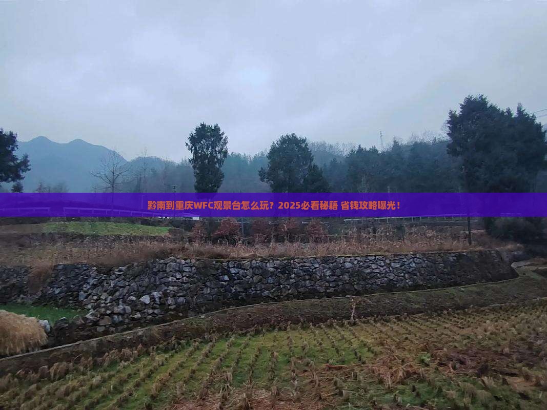 黔南到重庆wfc观景台哪里玩