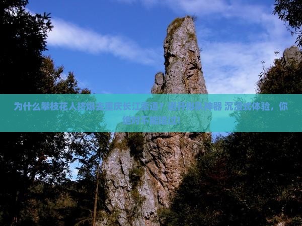攀枝花到重庆长江索道攻略