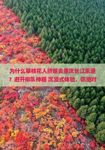 攀枝花到重庆长江索道攻略