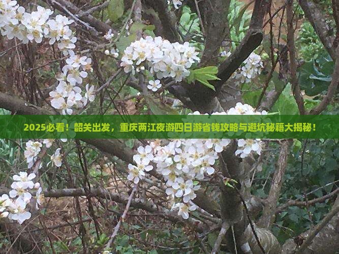 韶关到重庆两江夜游四日游
