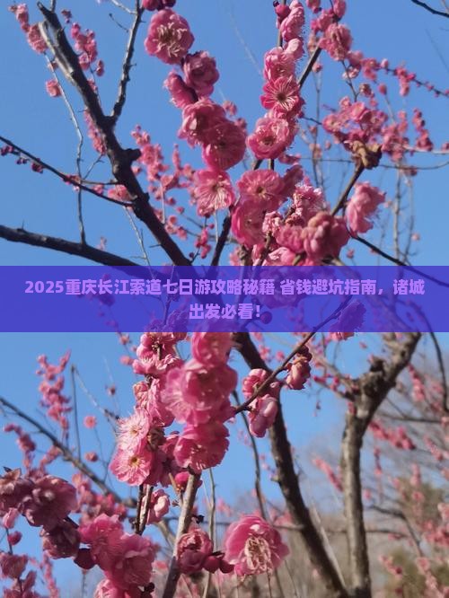诸城去重庆长江索道七日游