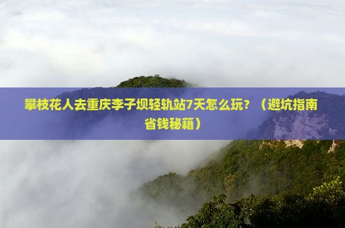 攀枝花去重庆李子坝轻轨站七日游