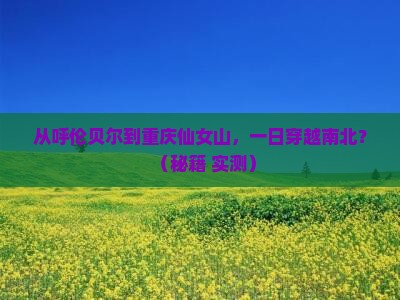 呼伦贝尔去重庆仙女山一日