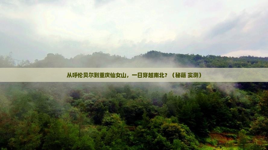 呼伦贝尔去重庆仙女山一日