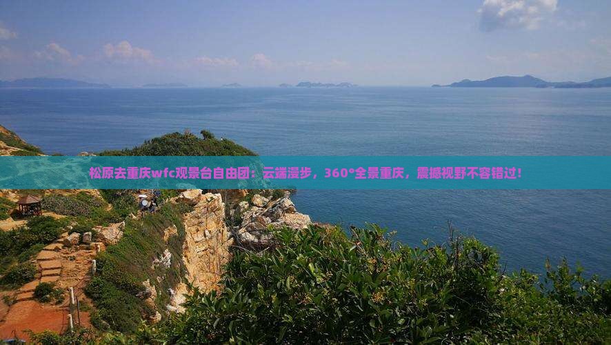松原去重庆wfc观景台自由团