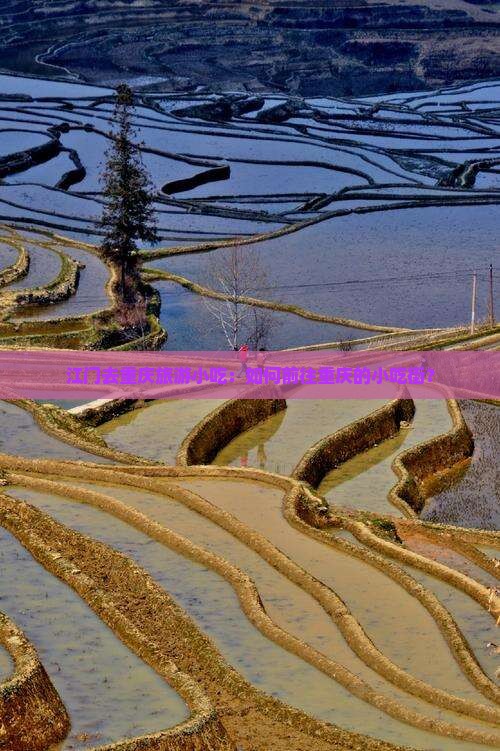 江门去重庆旅游小吃