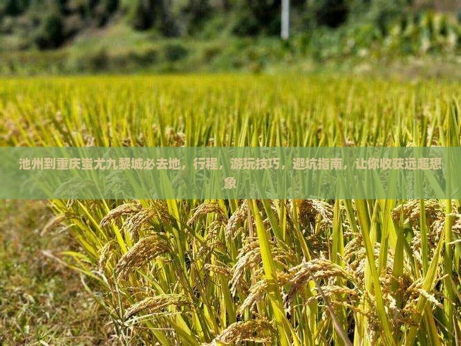 池州到重庆蚩尤九黎城必去地