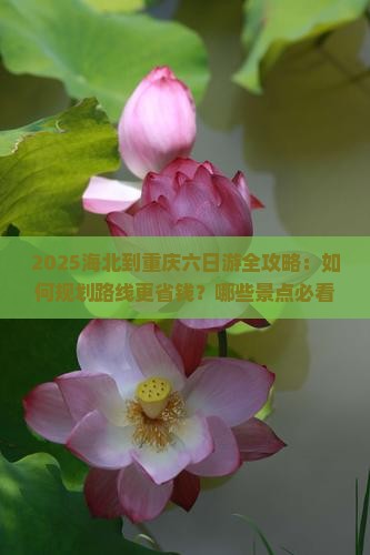 海北到重庆六日游