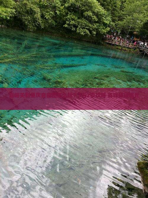 嘉峪关到重庆自由团