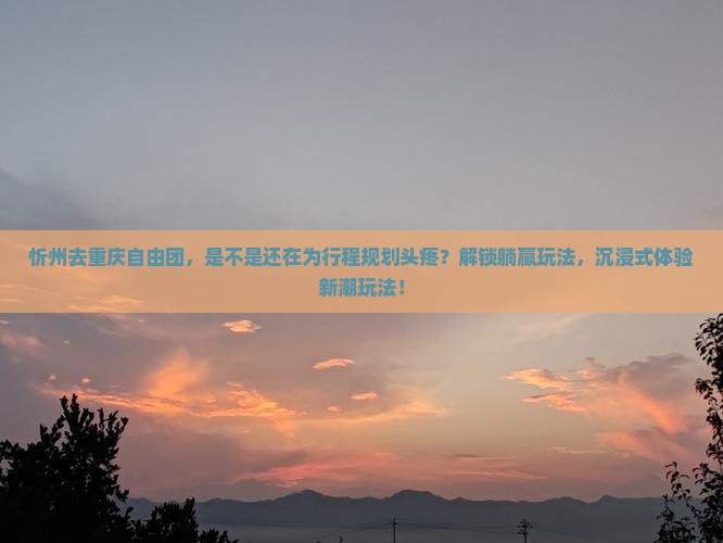 忻州去重庆自由团
