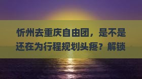 忻州去重庆自由团