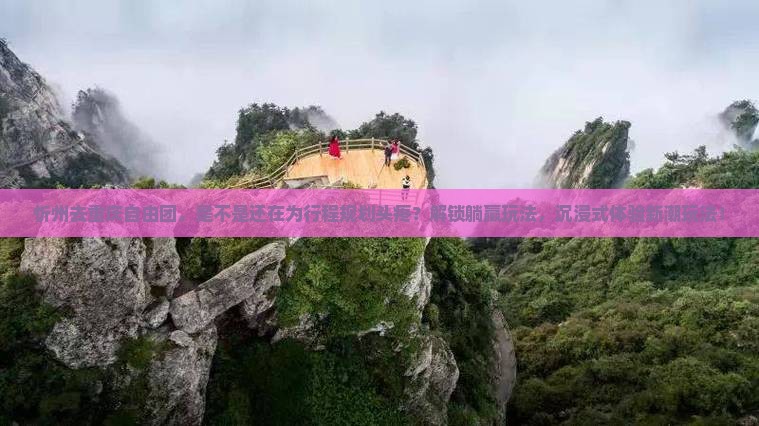 忻州去重庆自由团