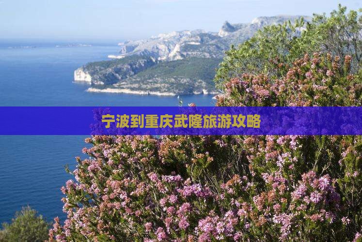 宁波到重庆武隆自由团
