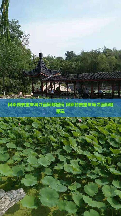 阿泰勒去重庆乌江画廊哪里玩