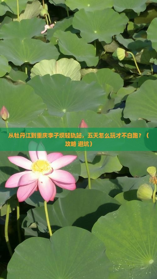 牡丹江到重庆李子坝轻轨站五日游