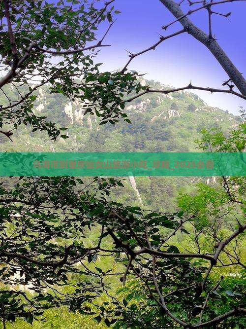 乌海市到重庆仙女山旅游小吃
