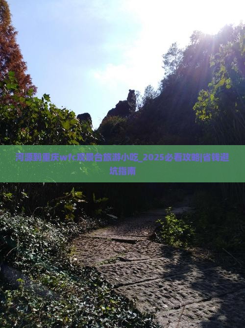 河源到重庆wfc观景台旅游小吃