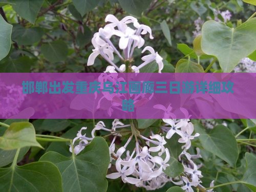 邯郸出发重庆乌江画廊三日游详细攻略