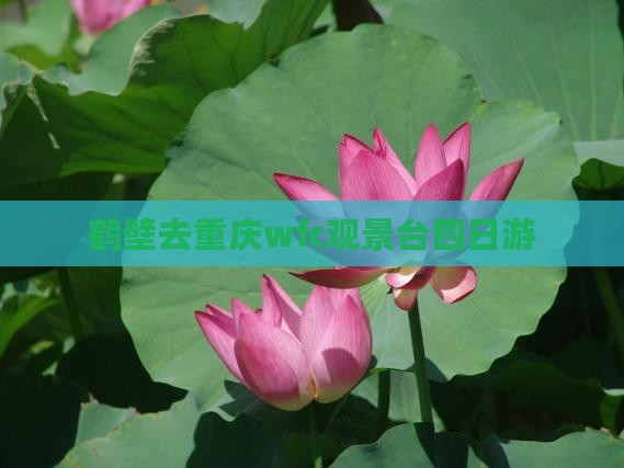 鹤壁去重庆wfc观景台四日游
