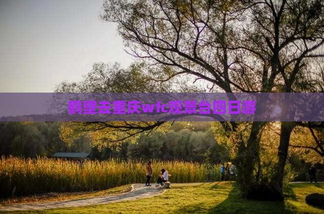 鹤壁去重庆wfc观景台四日游