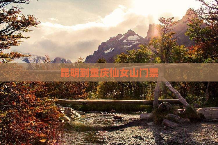 昆明到重庆仙女山门票