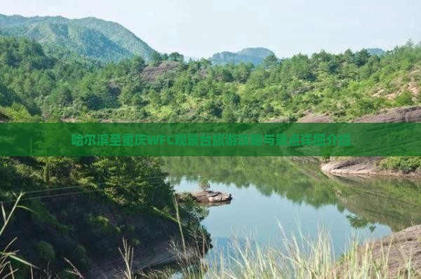 哈尔滨至重庆WFC观景台旅游攻略与景点详细介绍