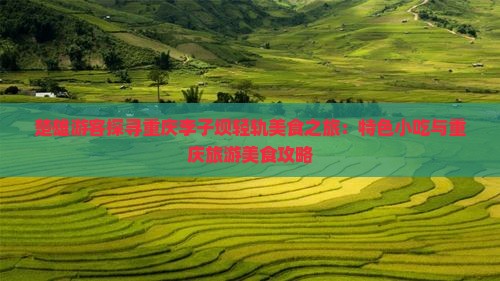 楚雄游客探寻重庆李子坝轻轨美食之旅：特色小吃与重庆旅游美食攻略