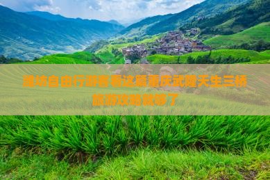 潍坊自由行游客看这篇重庆武隆天生三桥旅游攻略就够了