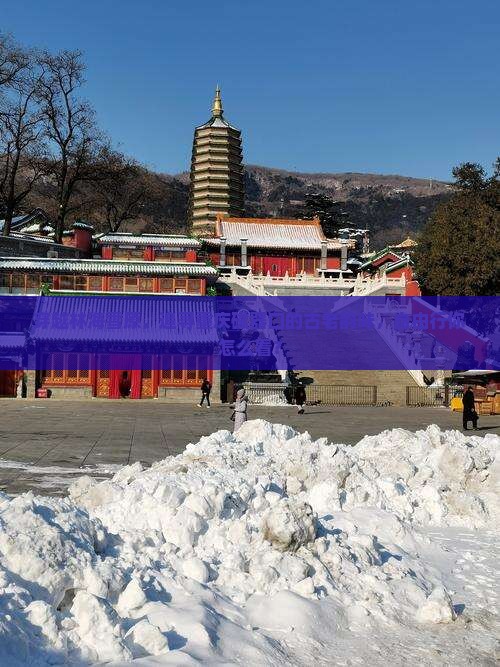 伊春去重庆磁器口自由团
