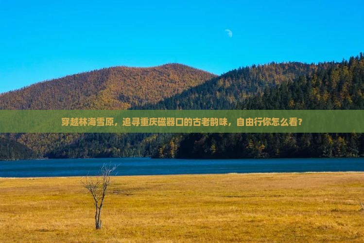 伊春去重庆磁器口自由团