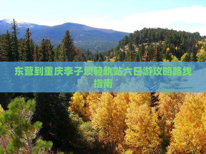 东营到重庆李子坝轻轨站六日游
