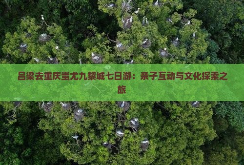 吕梁去重庆蚩尤九黎城七日游