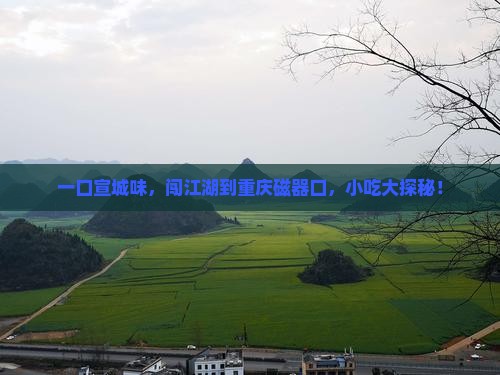 宣城到重庆磁器口旅游小吃