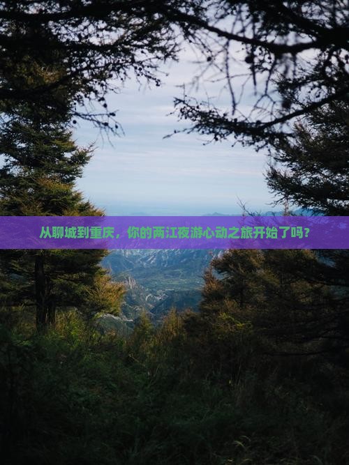 聊城到重庆两江夜游个人游