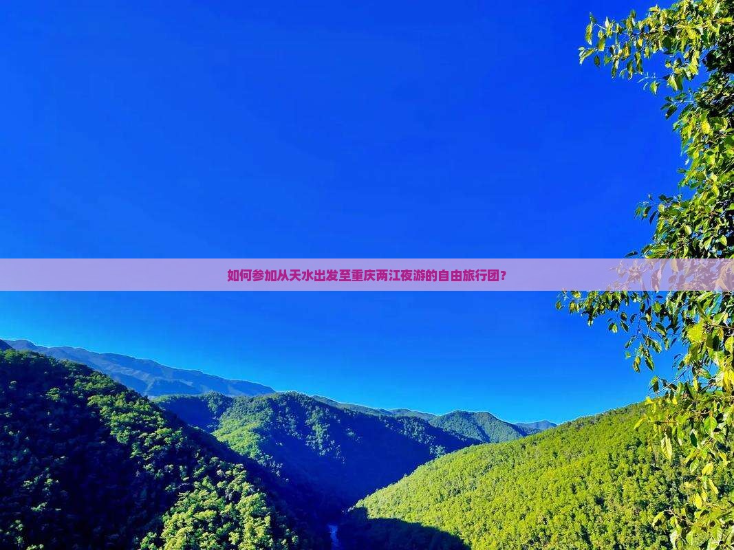 天水到重庆两江夜游自由团