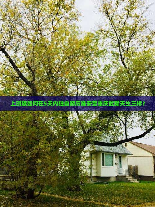 淮安去重庆武隆天生三桥个人游