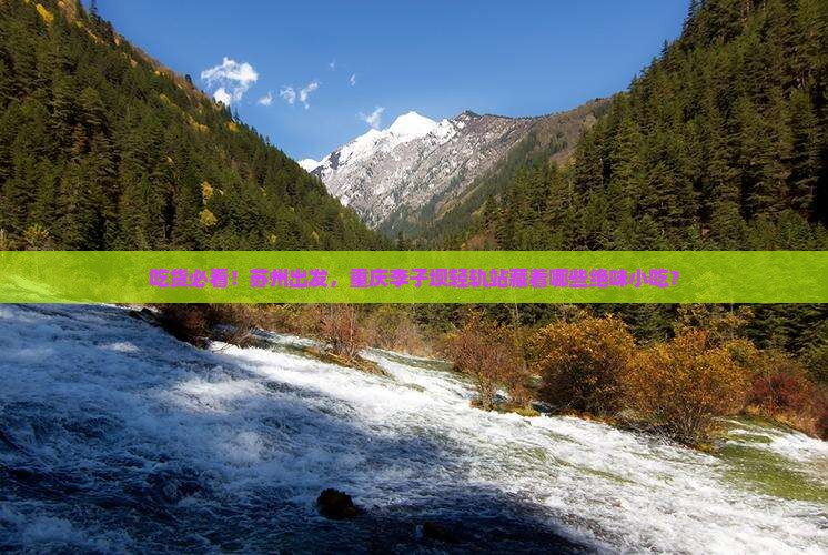 苏州到重庆李子坝轻轨站旅游小吃