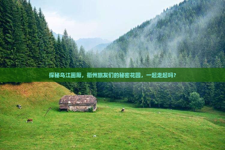 衢州到重庆乌江画廊旅行社
