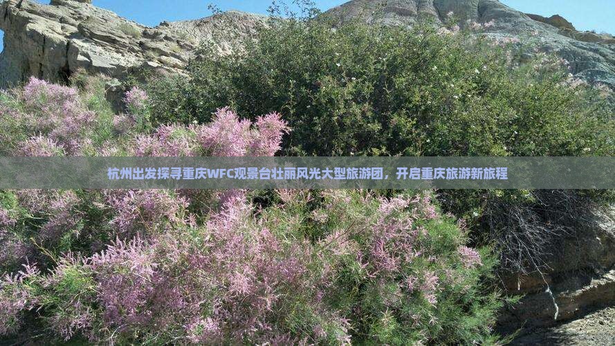杭州去重庆wfc观景台大型旅游团