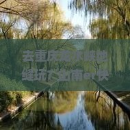 山南去重庆龙水峡地缝攻略
