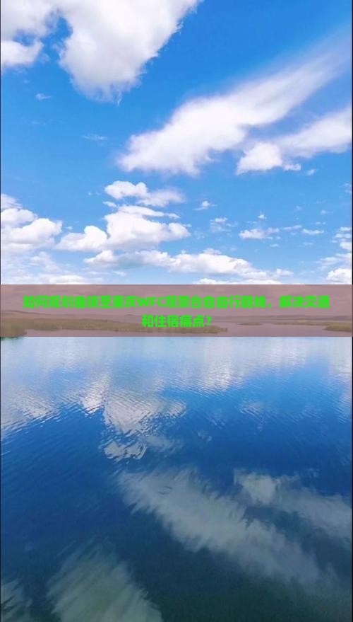 曲靖去重庆wfc观景台自由行