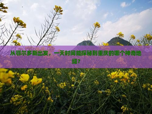 鄂尔多斯到重庆龙水峡地缝一日